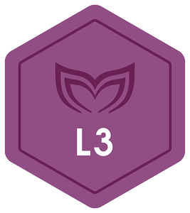 L3